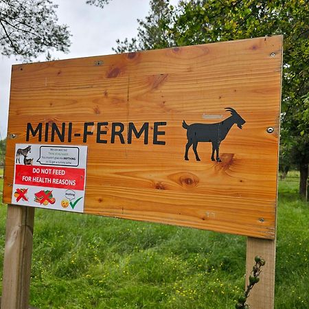 Mobil-Home 6 Personne - Tohapi Coeur De Vendee La Boissière-de-Montaigu Kültér fotó